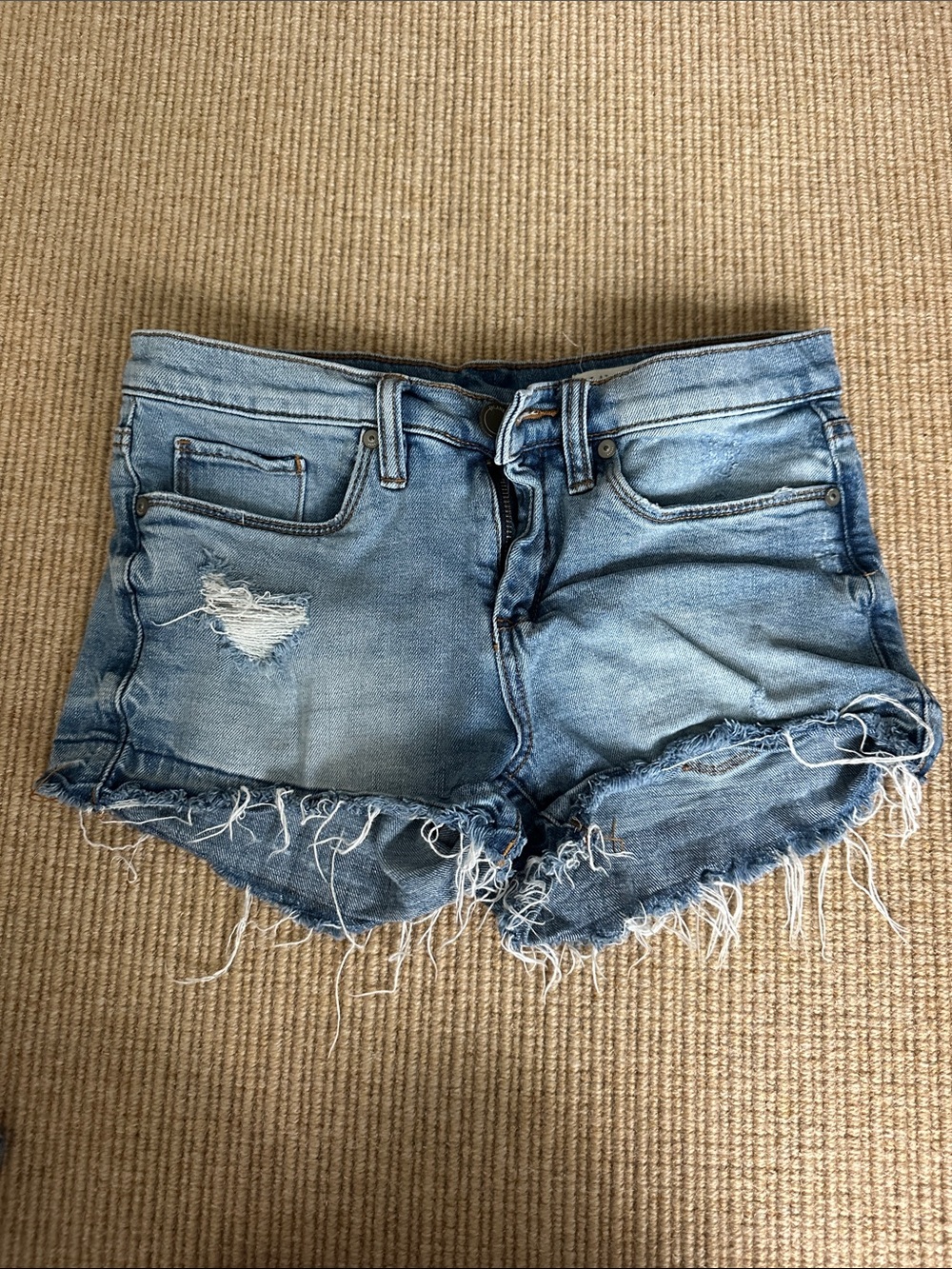 Blank NYC Hiker Shorts